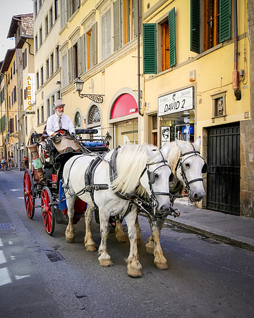 201606_Florence_Italy111