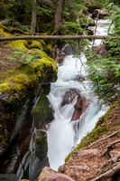 Avalanche Creek_5X9A2828