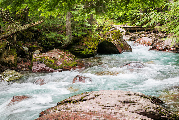 Avalanche Creek_5X9A2796-2