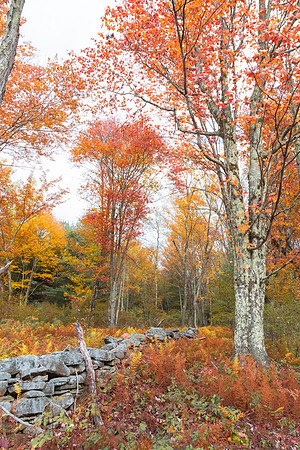 Fall Explorations_The Family Farm_5X9A8563-2