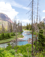 Beauty from Ashes_Saint Mary Falls Hike_Vertical_5X9A2027