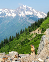 The Hills are Alive..._5X9A2311