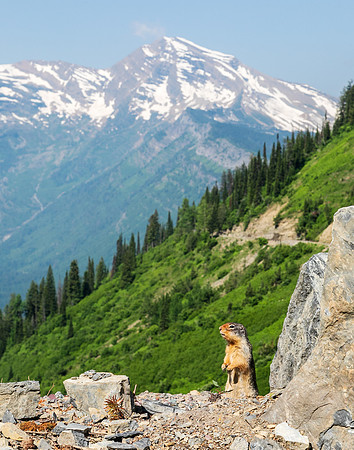 The Hills are Alive..._5X9A2311